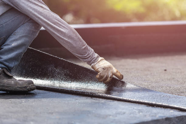 Professional Interior Drainage System technician working in Madison, NC